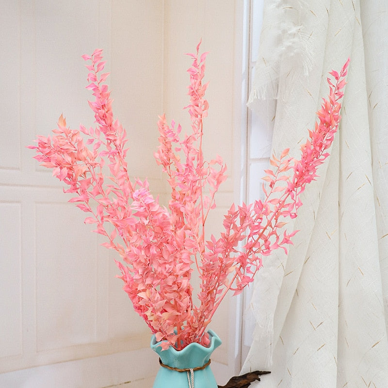 50g Dried Natural Ruscus Leaves Wedding Arrangement Decoration Natural Flowers Dry White Grass Bouquet Home Living Room  Decor. -PAMPAS grass wholesale and dried flowers wholesale near me