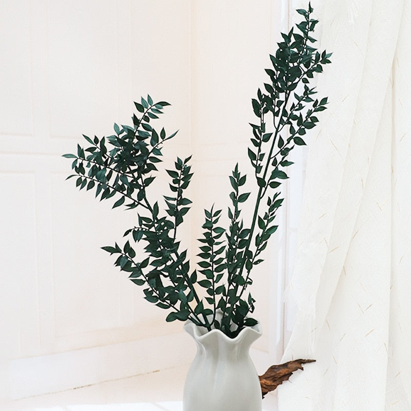 50g Dried Natural Ruscus Leaves Wedding Arrangement Decoration Natural Flowers Dry White Grass Bouquet Home Living Room  Decor. -PAMPAS grass wholesale and dried flowers wholesale near me