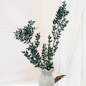 50g Dried Natural Ruscus Leaves Wedding Arrangement Decoration Natural Flowers Dry White Grass Bouquet Home Living Room  Decor. -PAMPAS grass wholesale and dried flowers wholesale near me