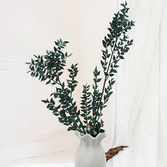 50g Dried Natural Ruscus Leaves Wedding Arrangement Decoration Natural Flowers Dry White Grass Bouquet Home Living Room  Decor. -PAMPAS grass wholesale and dried flowers wholesale near me