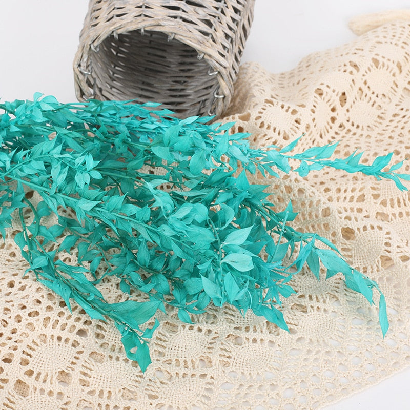 50g Dried Natural Ruscus Leaves Wedding Arrangement Decoration Natural Flowers Dry White Grass Bouquet Home Living Room  Decor. -PAMPAS grass wholesale and dried flowers wholesale near me