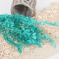 50g Dried Natural Ruscus Leaves Wedding Arrangement Decoration Natural Flowers Dry White Grass Bouquet Home Living Room  Decor. -PAMPAS grass wholesale and dried flowers wholesale near me