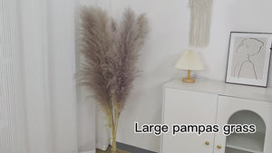 PAMPAS GRASS  35''- over100000 stems White  Dried Pampas Plant Decor, Pampas Wedding Decor Bouquet, Boho Bohemian Wedding Flower