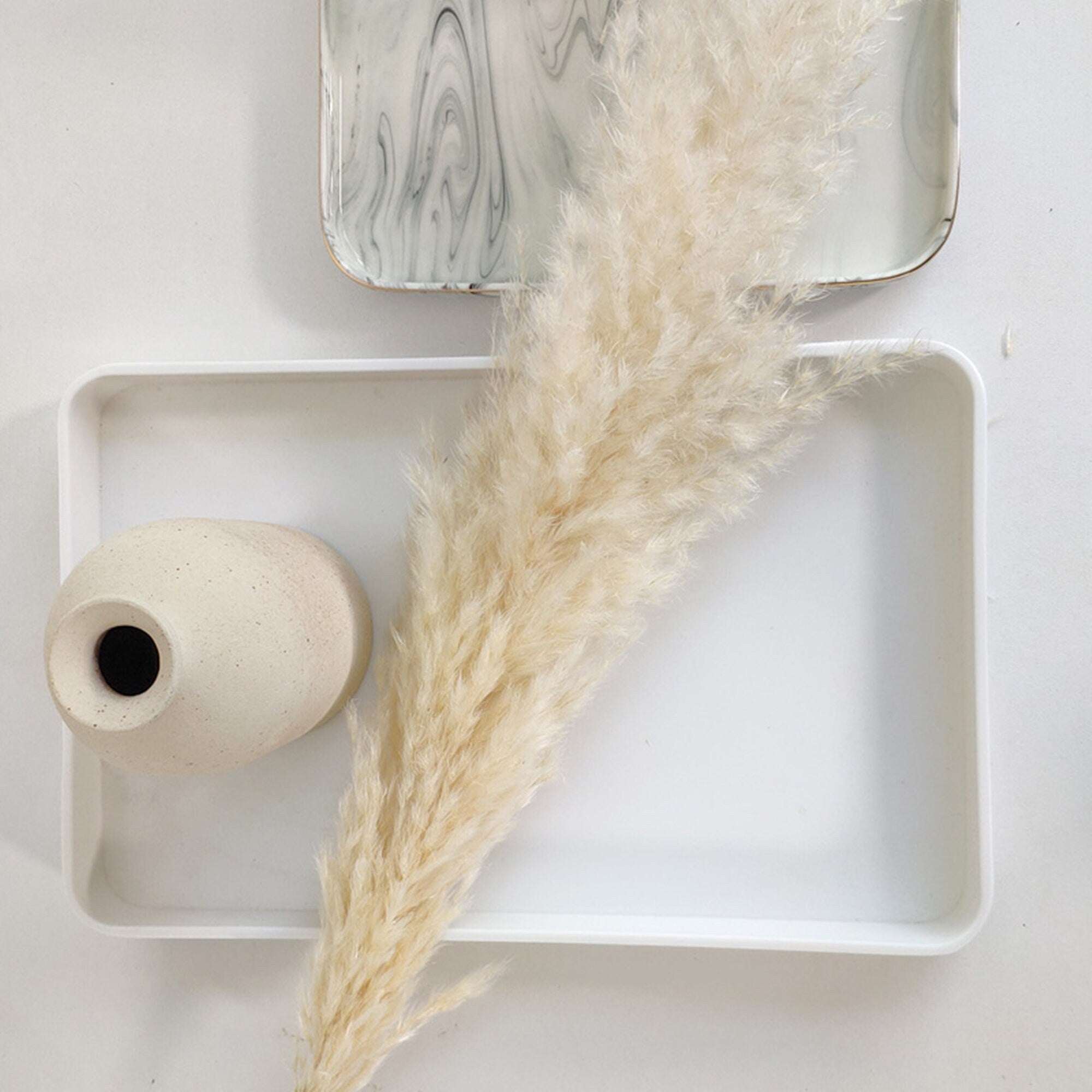 5 stems 23 inchs South American prairie beach-themed reed grass reed cane flower dried reed long grass long stem,Wedding day flower. -PAMPAS grass wholesale and dried flowers wholesale near m