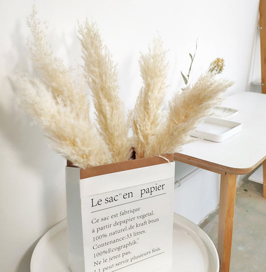 5 stems 23 inchs South American prairie beach-themed reed grass reed cane flower dried reed long grass long stem,Wedding day flower. -PAMPAS grass wholesale and dried flowers wholesale near m