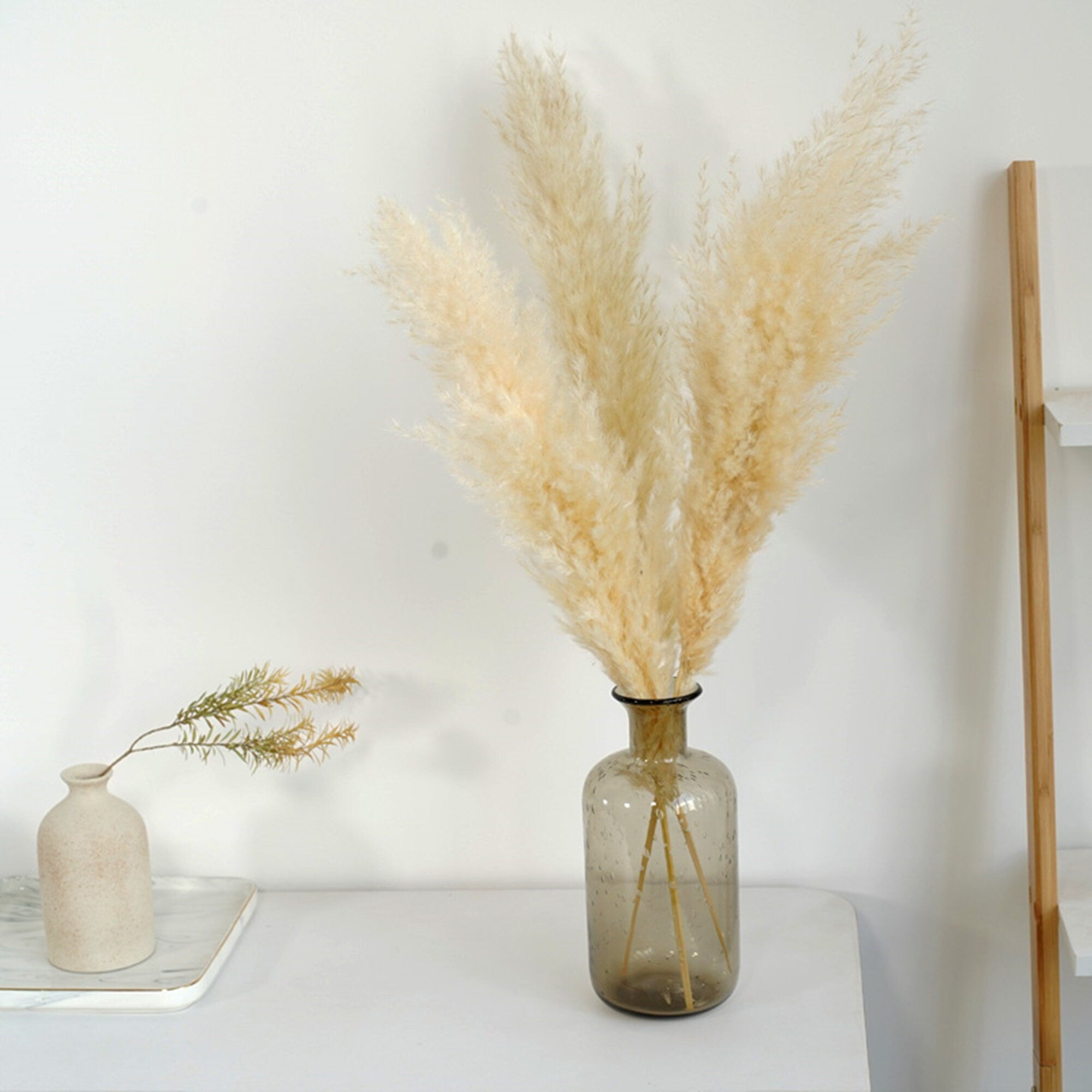 5 stems 23 inchs South American prairie beach-themed reed grass reed cane flower dried reed long grass long stem,Wedding day flower. -PAMPAS grass wholesale and dried flowers wholesale near m
