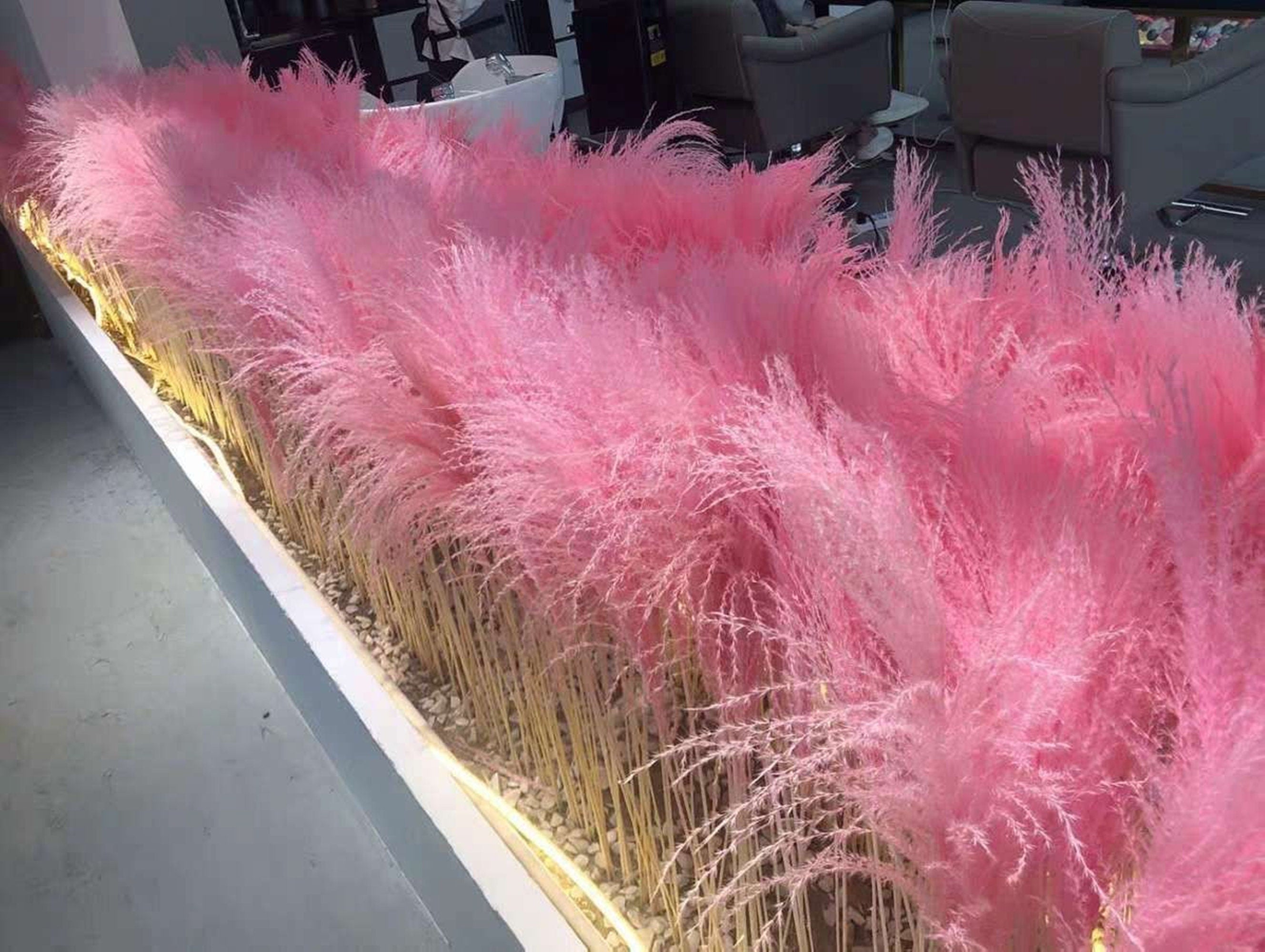 50 PCS  dried flower bouquet wedding decoration flower natural reed grass garden wedding supplies true bouquet,natural flower. -PAMPAS grass wholesale and dried flowers wholesale near me