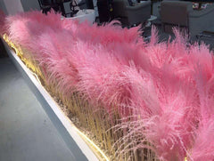 50 PCS  dried flower bouquet wedding decoration flower natural reed grass garden wedding supplies true bouquet,natural flower. -PAMPAS grass wholesale and dried flowers wholesale near me