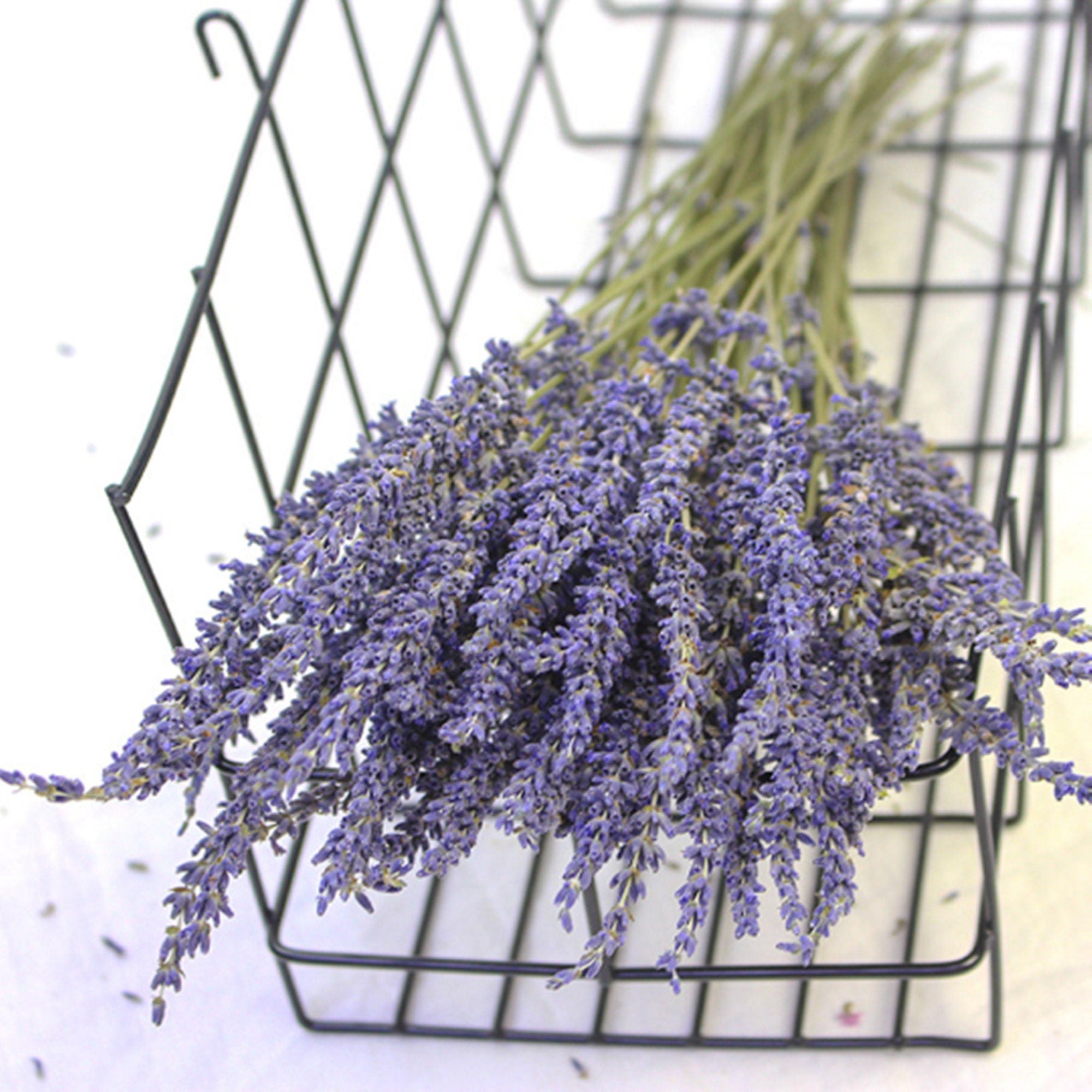 250-300 stems/bundle, lavender, high-quality dried flowers, purple lavender, wedding decoration, home decoration dried flowers -PAMPAS grass wholesale and dried flowers wholesale near me