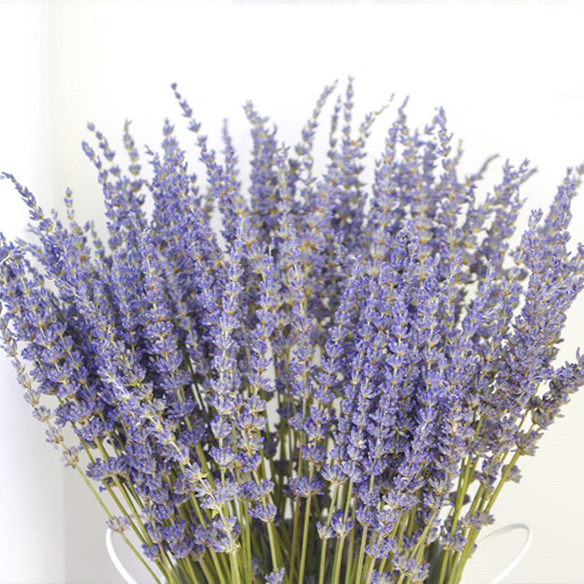 250-300 stems/bundle, lavender, high-quality dried flowers, purple lavender, wedding decoration, home decoration dried flowers -PAMPAS grass wholesale and dried flowers wholesale near me