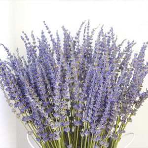 250-300 stems/bundle, lavender, high-quality dried flowers, purple lavender, wedding decoration, home decoration dried flowers -PAMPAS grass wholesale and dried flowers wholesale near me