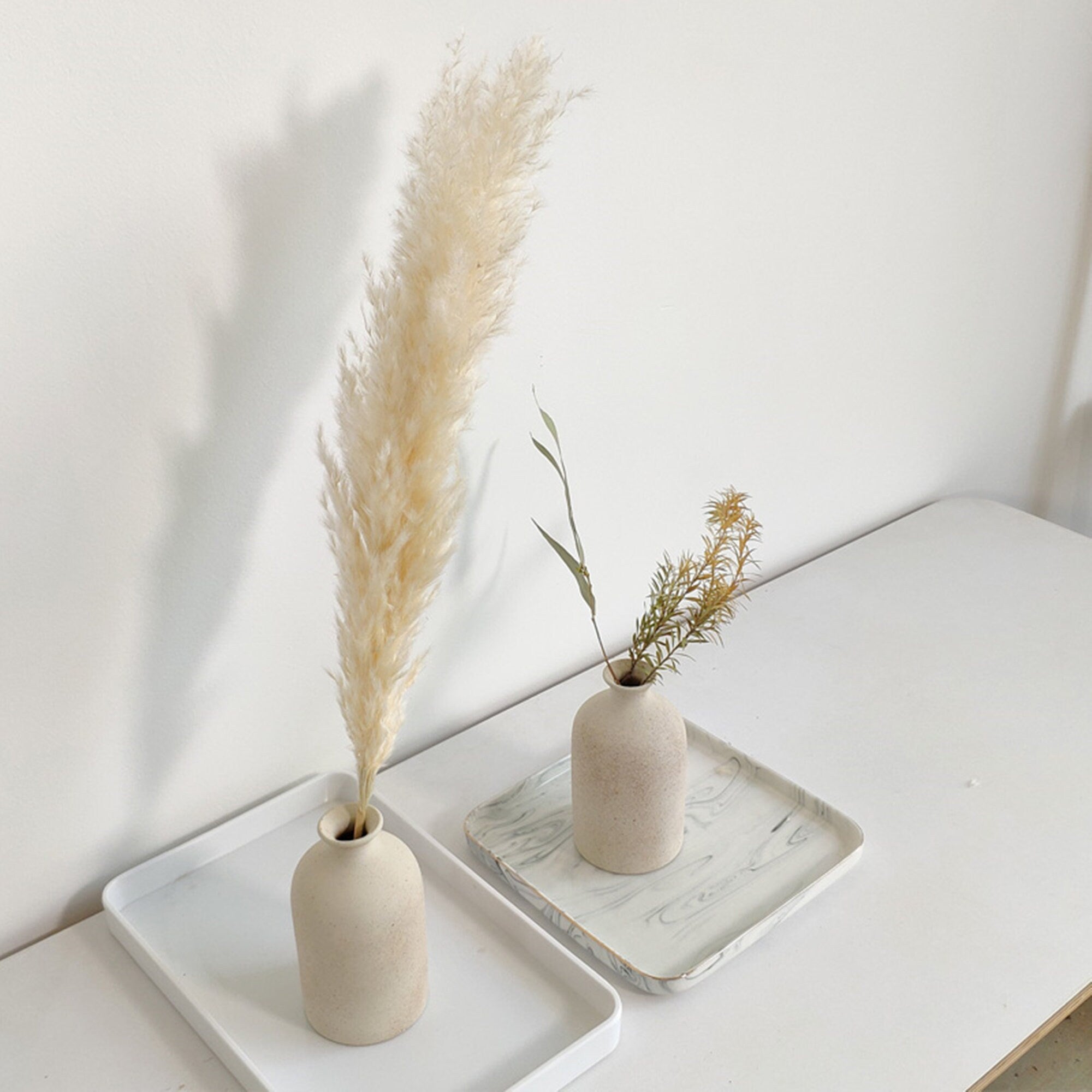 5 stems 23 inchs South American prairie beach-themed reed grass reed cane flower dried reed long grass long stem,Wedding day flower. -PAMPAS grass wholesale and dried flowers wholesale near m