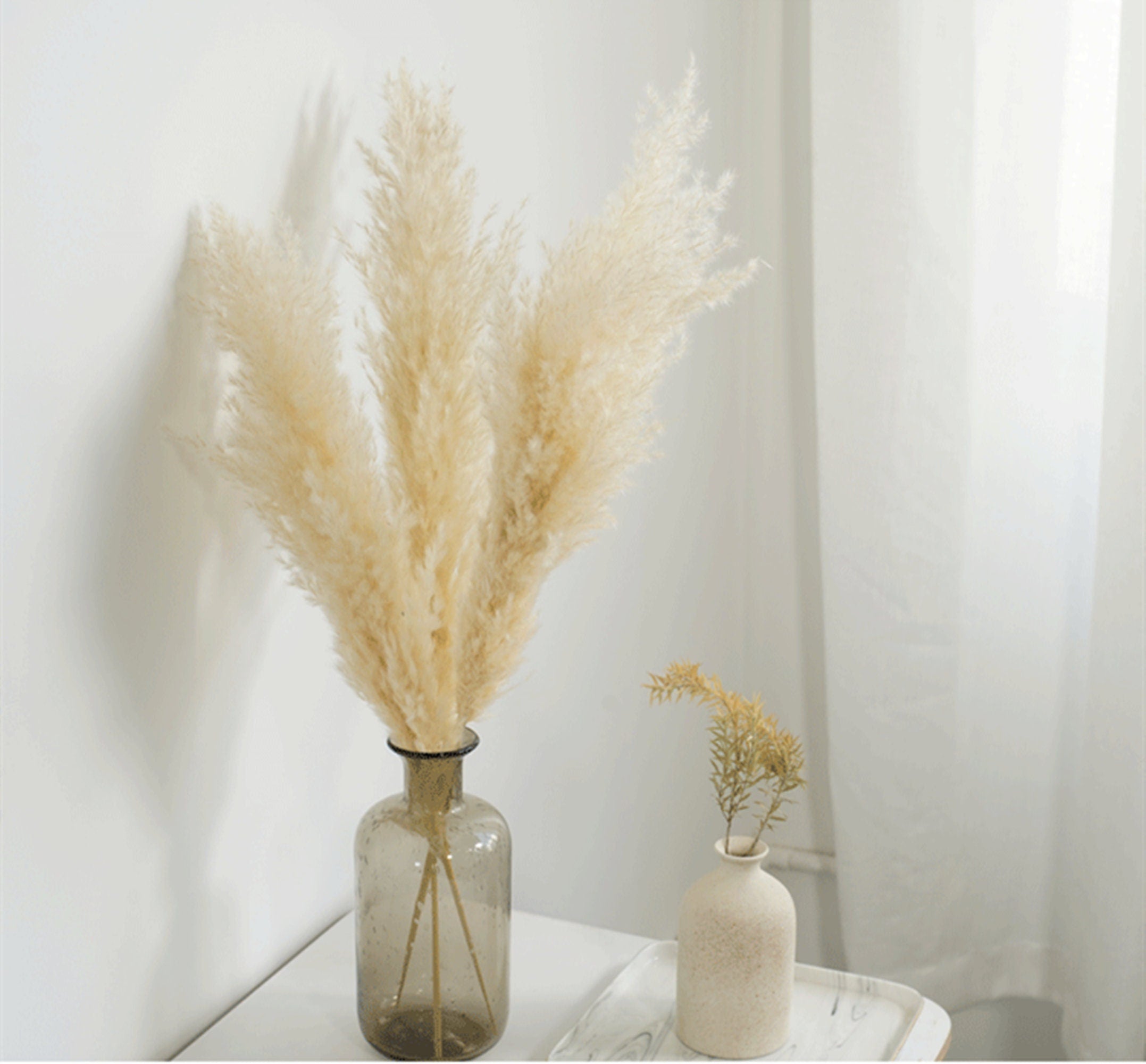 5 stems 23 inchs South American prairie beach-themed reed grass reed cane flower dried reed long grass long stem,Wedding day flower. -PAMPAS grass wholesale and dried flowers wholesale near m