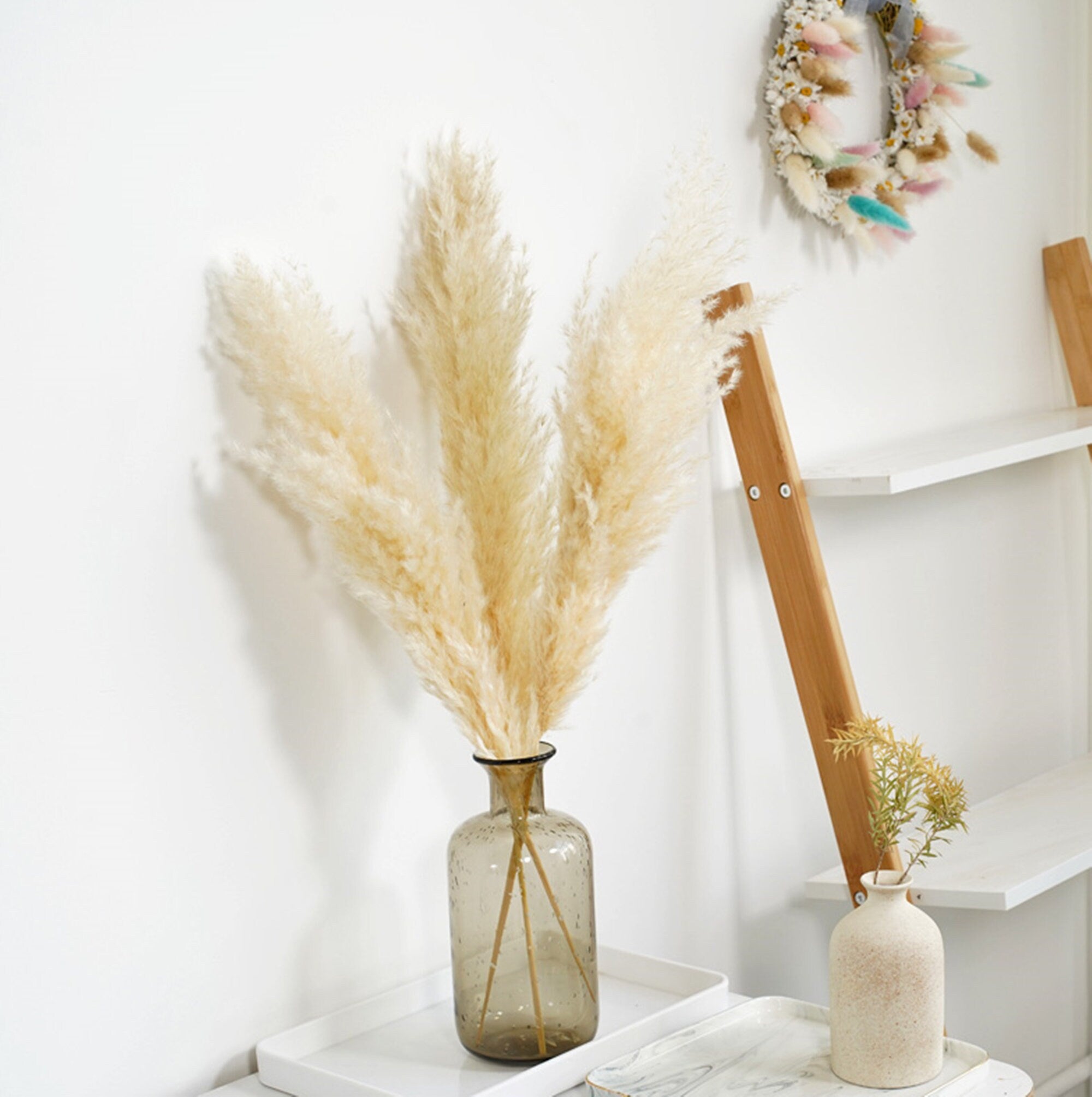 5 stems 23 inchs South American prairie beach-themed reed grass reed cane flower dried reed long grass long stem,Wedding day flower. -PAMPAS grass wholesale and dried flowers wholesale near m