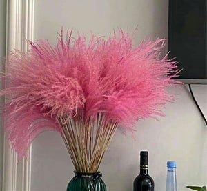 50 PCS  dried flower bouquet wedding decoration flower natural reed grass garden wedding supplies true bouquet,natural flower. -PAMPAS grass wholesale and dried flowers wholesale near me