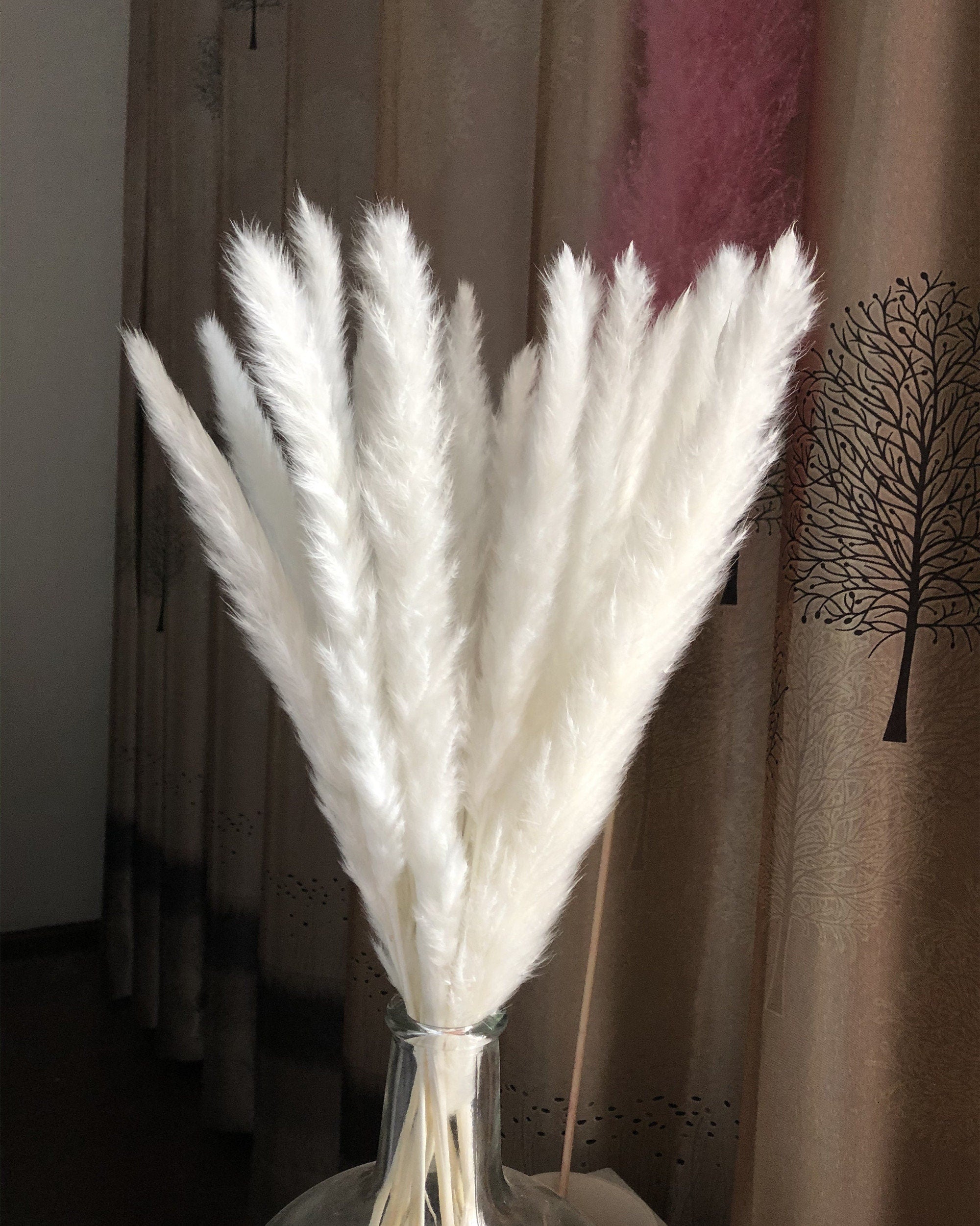 15 stems white feathers natural dried reeds  dried flower bouquet small pampas -PAMPAS grass wholesale and dried flowers wholesale near me