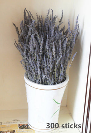 250-300 stems/bundle, lavender, high-quality dried flowers, purple lavender, wedding decoration, home decoration dried flowers -PAMPAS grass wholesale and dried flowers wholesale near me