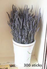 250-300 stems/bundle, lavender, high-quality dried flowers, purple lavender, wedding decoration, home decoration dried flowers -PAMPAS grass wholesale and dried flowers wholesale near me