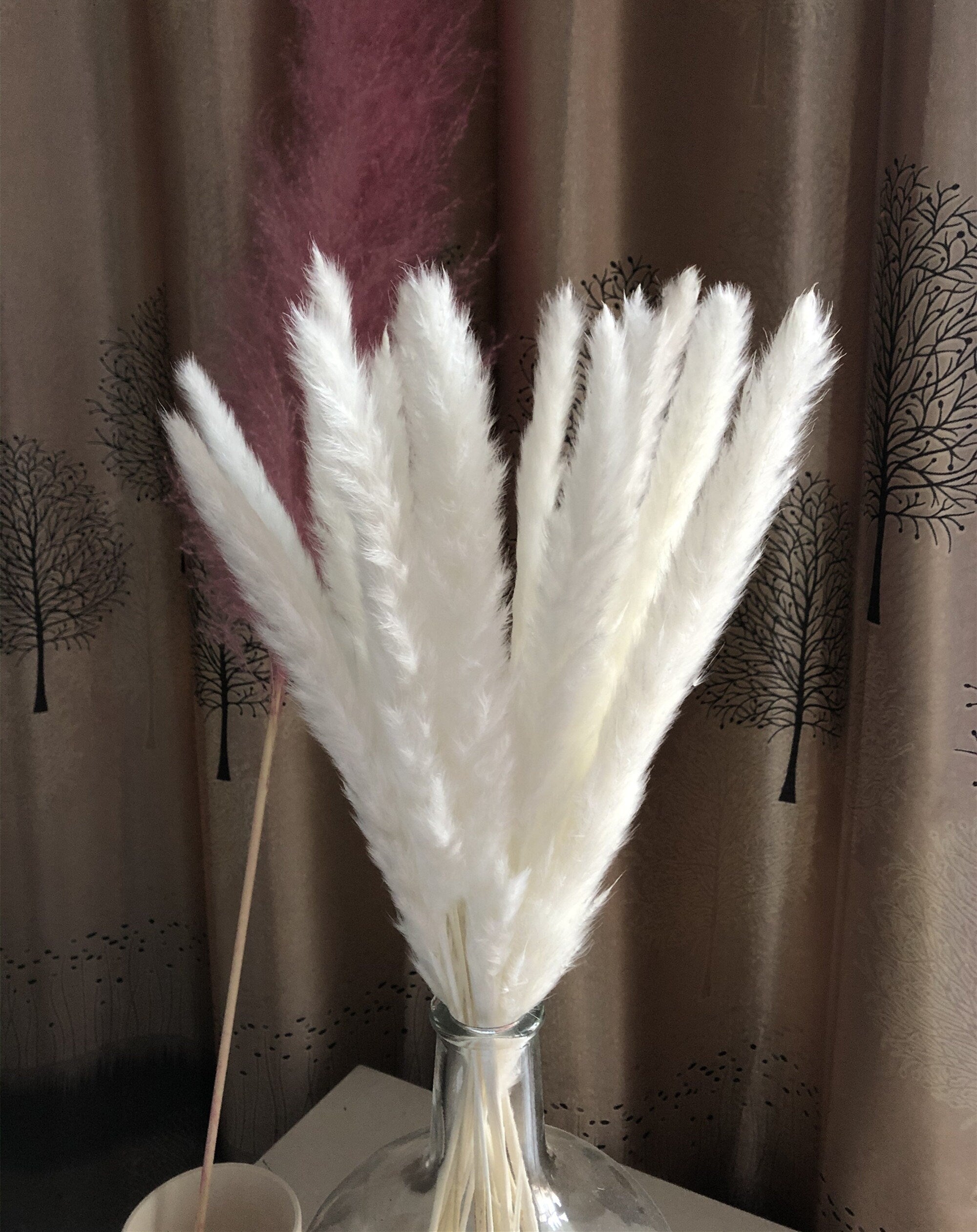 15 stems white feathers natural dried reeds  dried flower bouquet small pampas -PAMPAS grass wholesale and dried flowers wholesale near me