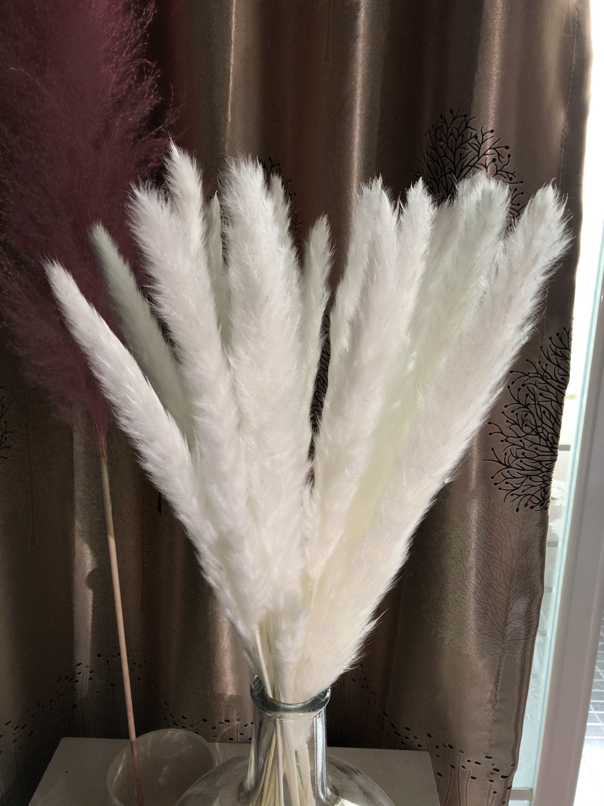 15 stems white feathers natural dried reeds  dried flower bouquet small pampas -PAMPAS grass wholesale and dried flowers wholesale near me
