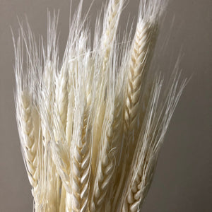 About 50 high-quality natural wheat dried flowers, bouquets, flower arrangements, handmade flowers. -PAMPAS grass wholesale and dried flowers wholesale near me