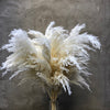 Wholesale Boho Wedding Decor Large Plume Dry Pampas Grass Flower Decor Natural Real Preserved Dried Pampas Grass. -PAMPAS grass wholesale and dried flowers wholesale near me