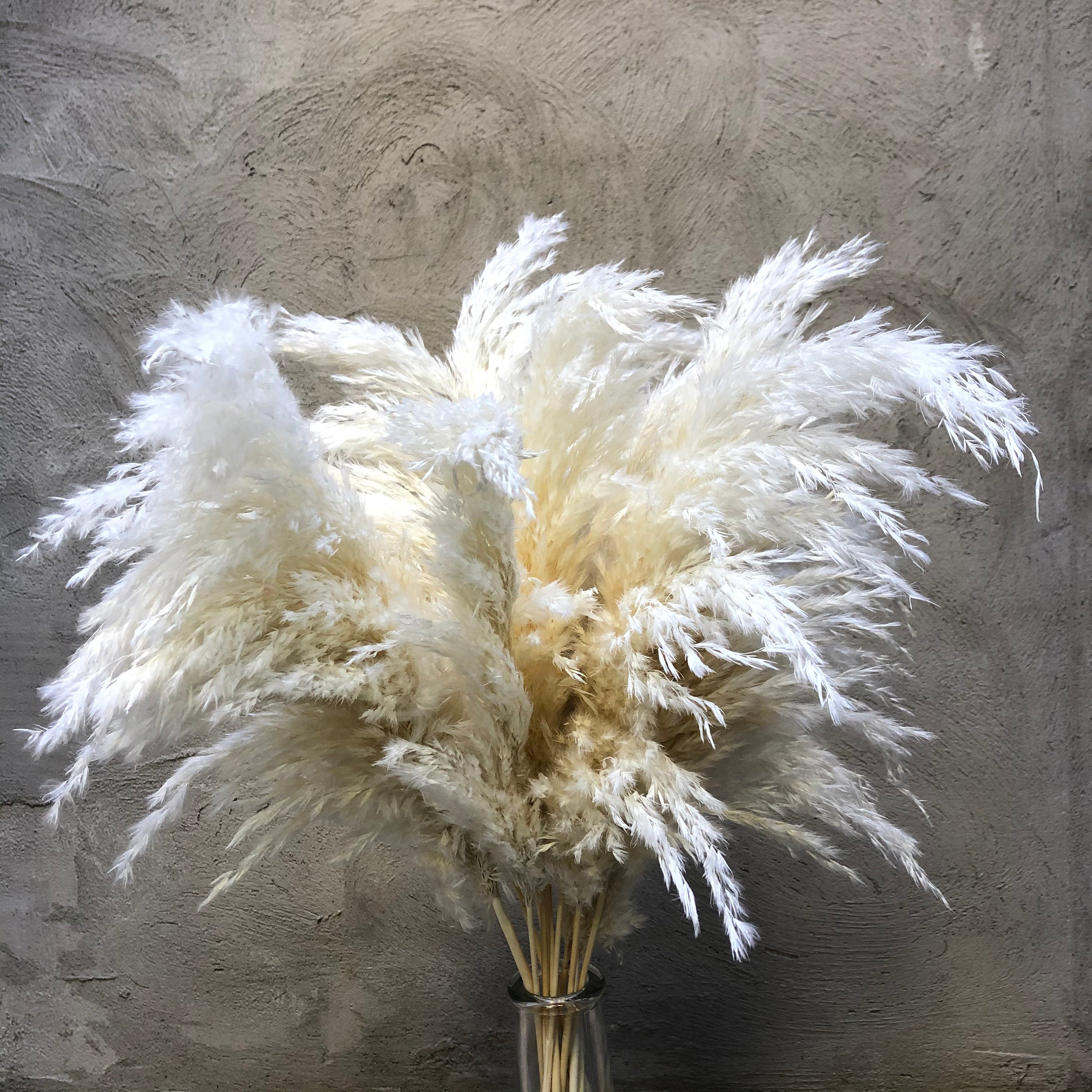 Wholesale Boho Wedding Decor Large Plume Dry Pampas Grass Flower Decor Natural Real Preserved Dried Pampas Grass. -PAMPAS grass wholesale and dried flowers wholesale near me