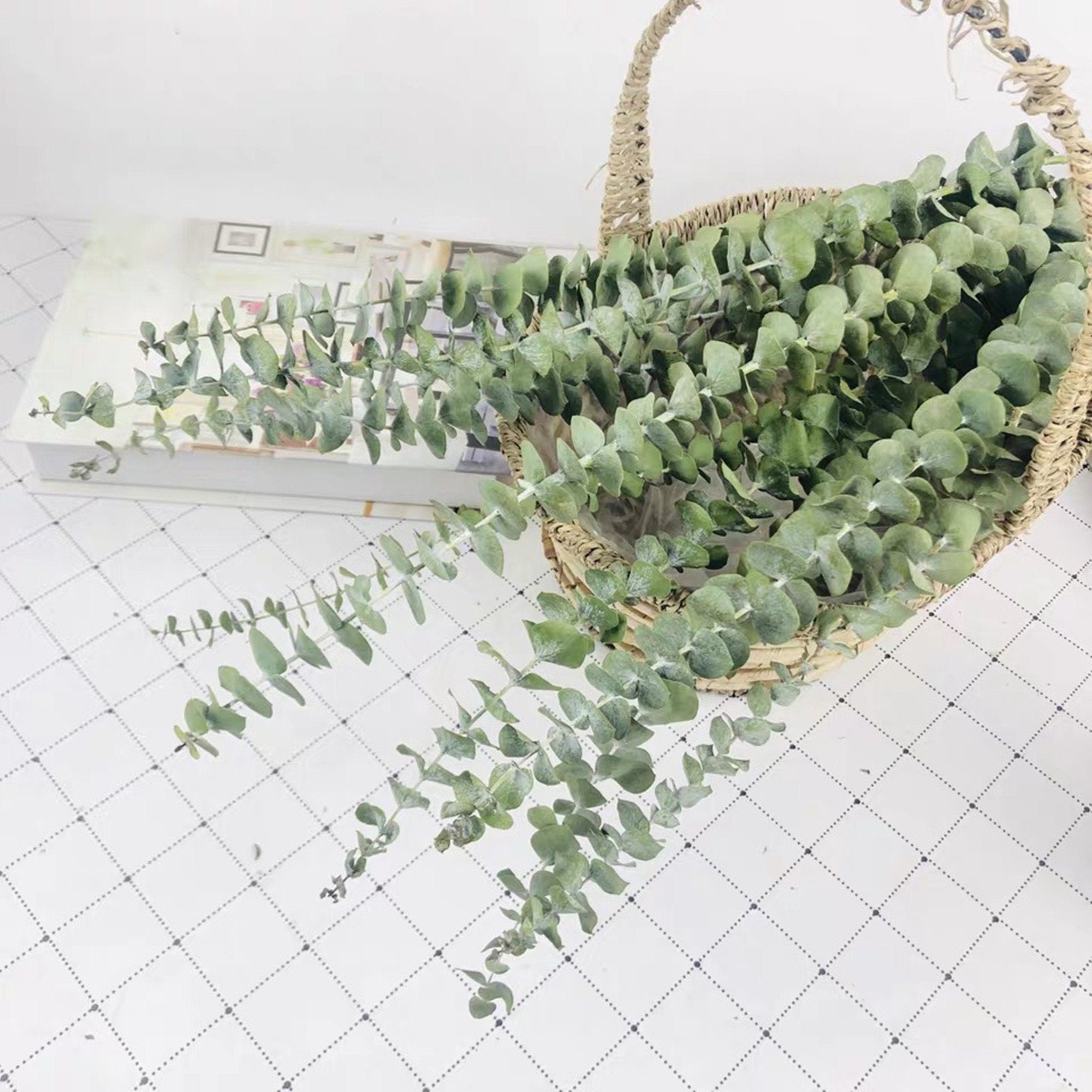 Our Factory Wholesale Eucalyptus Leaf Natural H ome Party Wedding Decorations Dried Flowers Eucalyptus Leaves Leaf -PAMPAS grass wholesale and dried flowers wholesale near me
