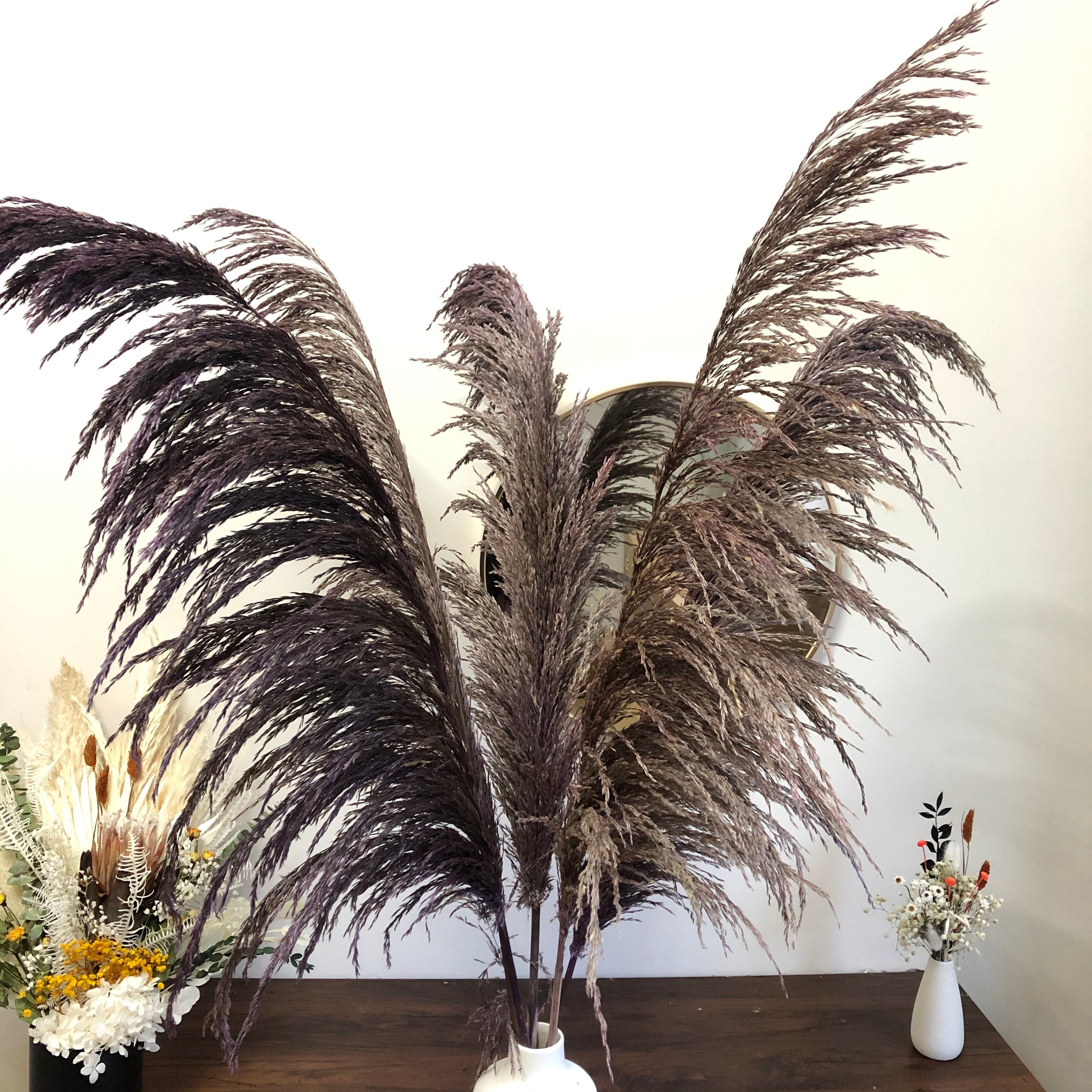 27 inches New, Pampas grass  prairie grass decoration, reed feathers, dried boho wedding floral arrangement -PAMPAS grass wholesale and dried flowers wholesale near me