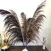 27 inches New, Pampas grass  prairie grass decoration, reed feathers, dried boho wedding floral arrangement -PAMPAS grass wholesale and dried flowers wholesale near me