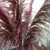 27 inches New, Pampas grass  prairie grass decoration, reed feathers, dried boho wedding floral arrangement -PAMPAS grass wholesale and dried flowers wholesale near me