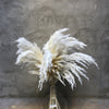 Wholesale Boho Wedding Decor Large Plume Dry Pampas Grass Flower Decor Natural Real Preserved Dried Pampas Grass. -PAMPAS grass wholesale and dried flowers wholesale near me