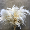 Wholesale Boho Wedding Decor Large Plume Dry Pampas Grass Flower Decor Natural Real Preserved Dried Pampas Grass. -PAMPAS grass wholesale and dried flowers wholesale near me