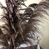 27 inches New, Pampas grass  prairie grass decoration, reed feathers, dried boho wedding floral arrangement -PAMPAS grass wholesale and dried flowers wholesale near me