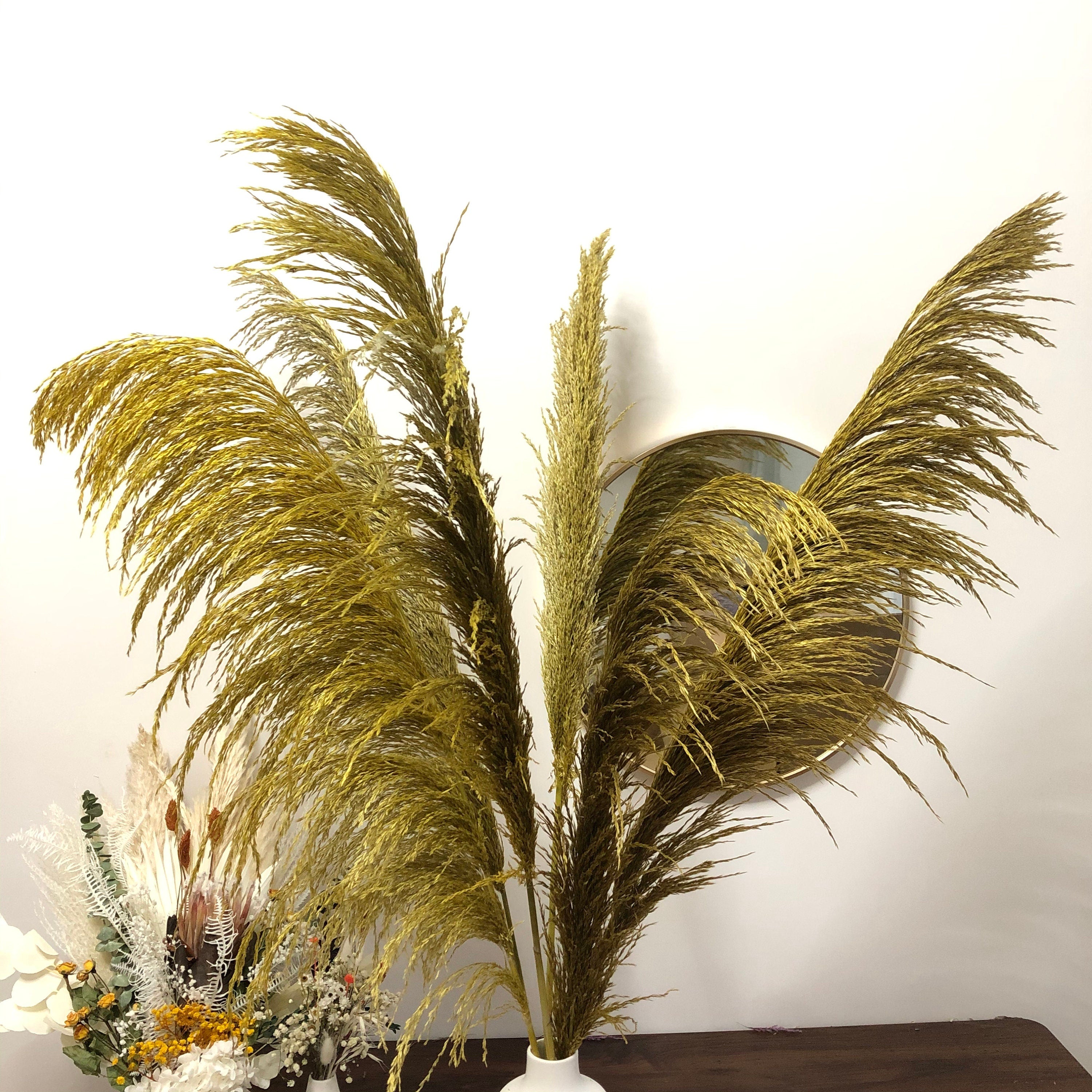 27 inches New, Pampas grass  prairie grass decoration, reed feathers, dried boho wedding floral arrangement -PAMPAS grass wholesale and dried flowers wholesale near me