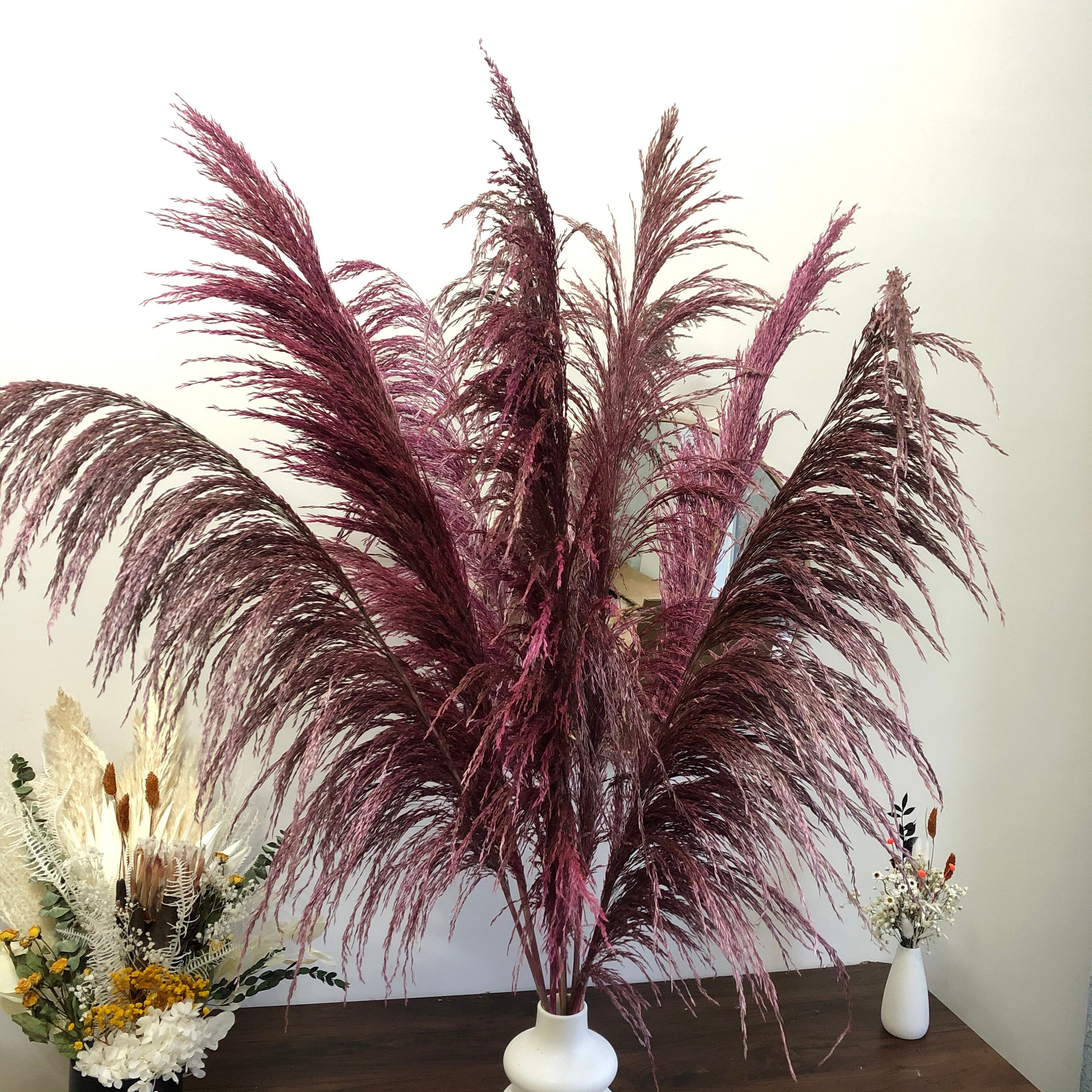 27 inches New, Pampas grass  prairie grass decoration, reed feathers, dried boho wedding floral arrangement -PAMPAS grass wholesale and dried flowers wholesale near me