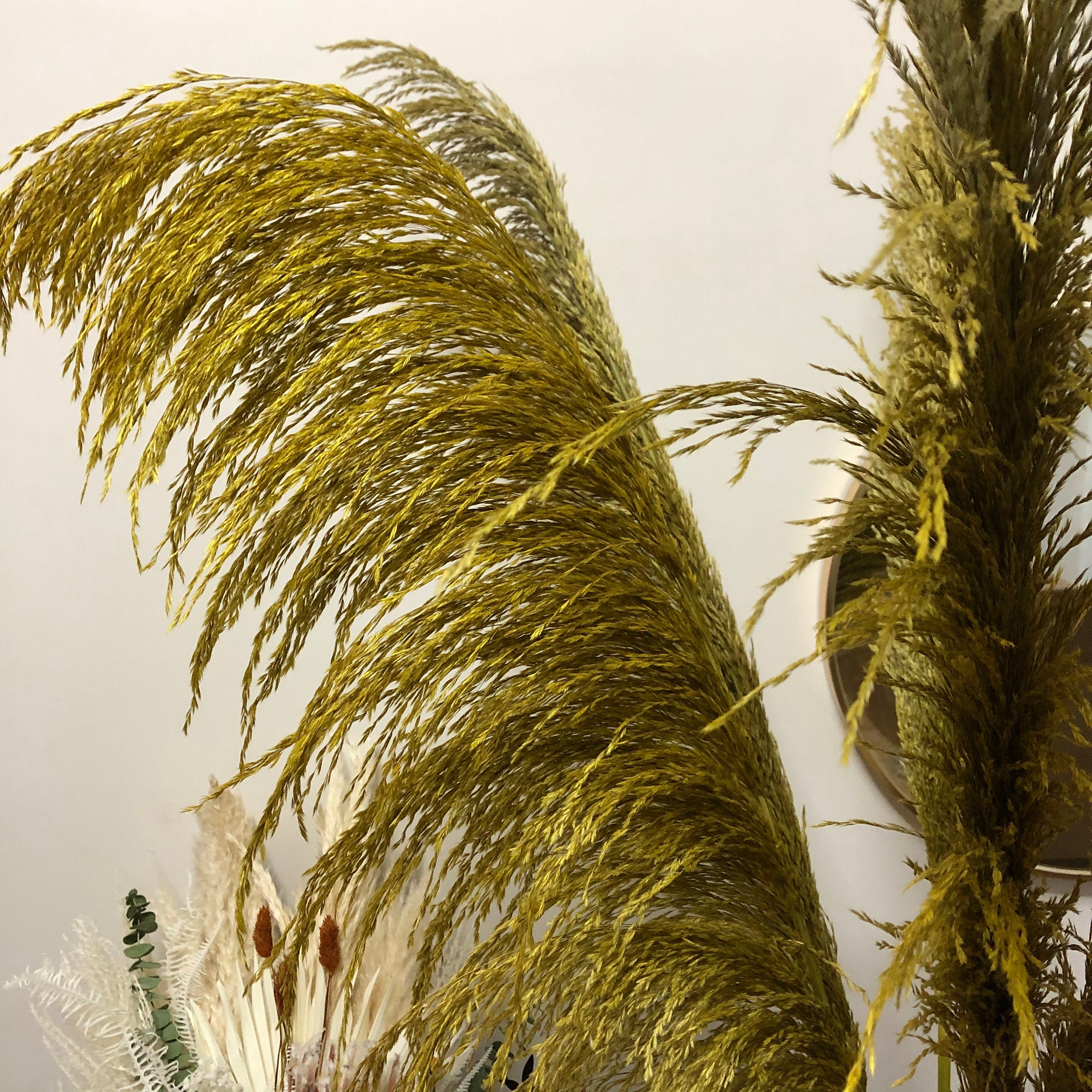 27 inches New, Pampas grass  prairie grass decoration, reed feathers, dried boho wedding floral arrangement -PAMPAS grass wholesale and dried flowers wholesale near me