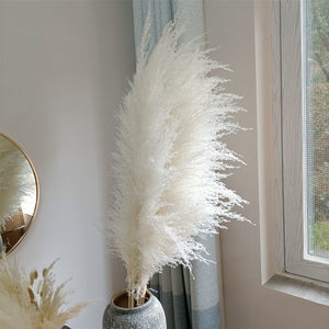 PAMPAS GRASS  35''- over100000 stems White  Dried Pampas Plant Decor, Pampas Wedding Decor Bouquet, Boho Bohemian Wedding Flower -PAMPAS grass wholesale and dried flowers wholesale near me