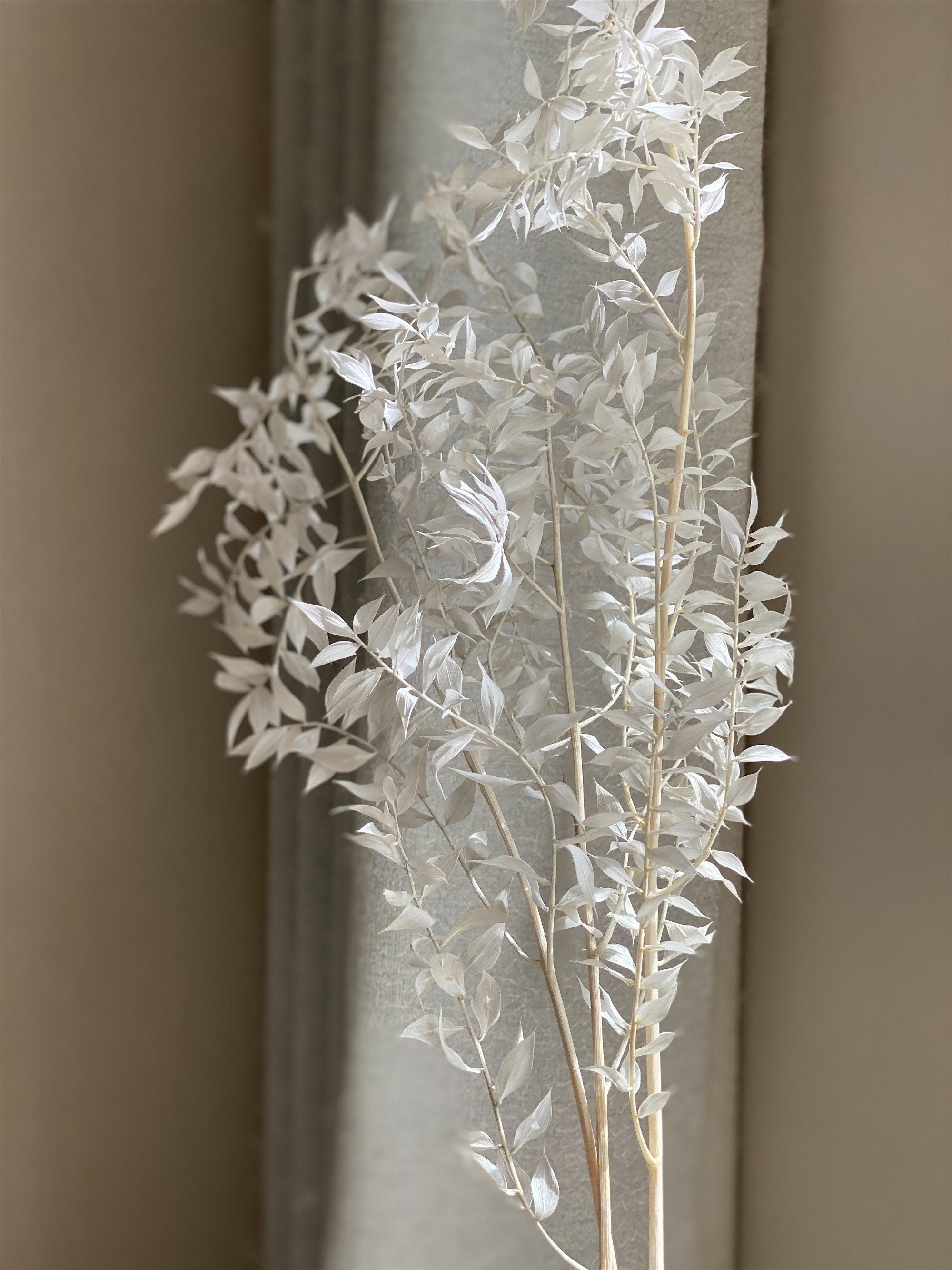 3 stems Italian White Ruscus DIY Bouquet Supply,wedding celebration,home decoration. -PAMPAS grass wholesale and dried flowers wholesale near me