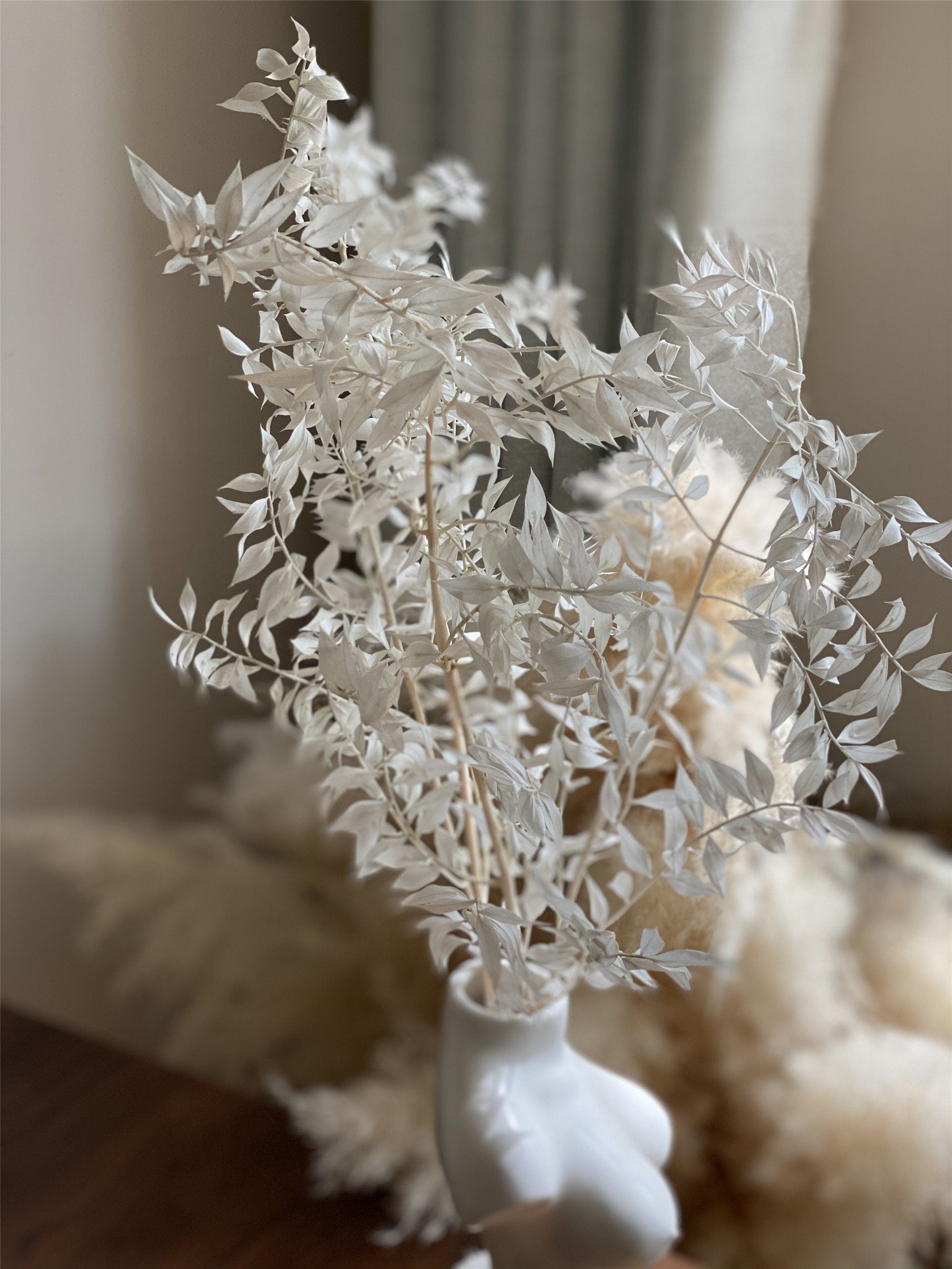 3 stems Italian White Ruscus DIY Bouquet Supply,wedding celebration,home decoration. -PAMPAS grass wholesale and dried flowers wholesale near me