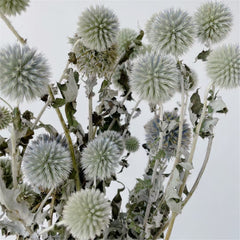 15-18 flower heads globe thistle, blue thistle, natural Globe Thistle bunch， dried Echinop balls dried flowers arrangement blue flowers for vase DIY craft supply home wedding decor -PAMPAS 