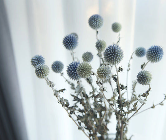 15-18 flower heads globe thistle, blue thistle, natural Globe Thistle bunch， dried Echinop balls dried flowers arrangement blue flowers for vase DIY craft supply home wedding decor -PAMPAS 