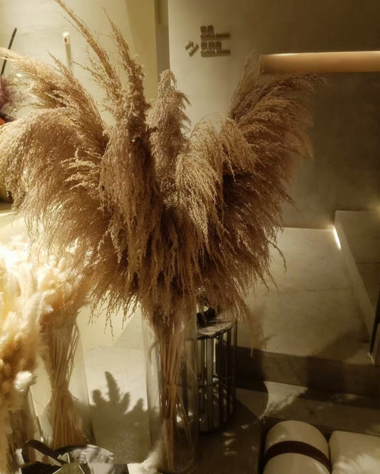 5 stems pampas grass 34'' , dried flowers, pampasgrass, Natural Dried Pampas Grass, Phragmites Communis,Reed Plume,Wedding,FlowerArrangement -PAMPAS grass wholesale and dried flowers wholesal