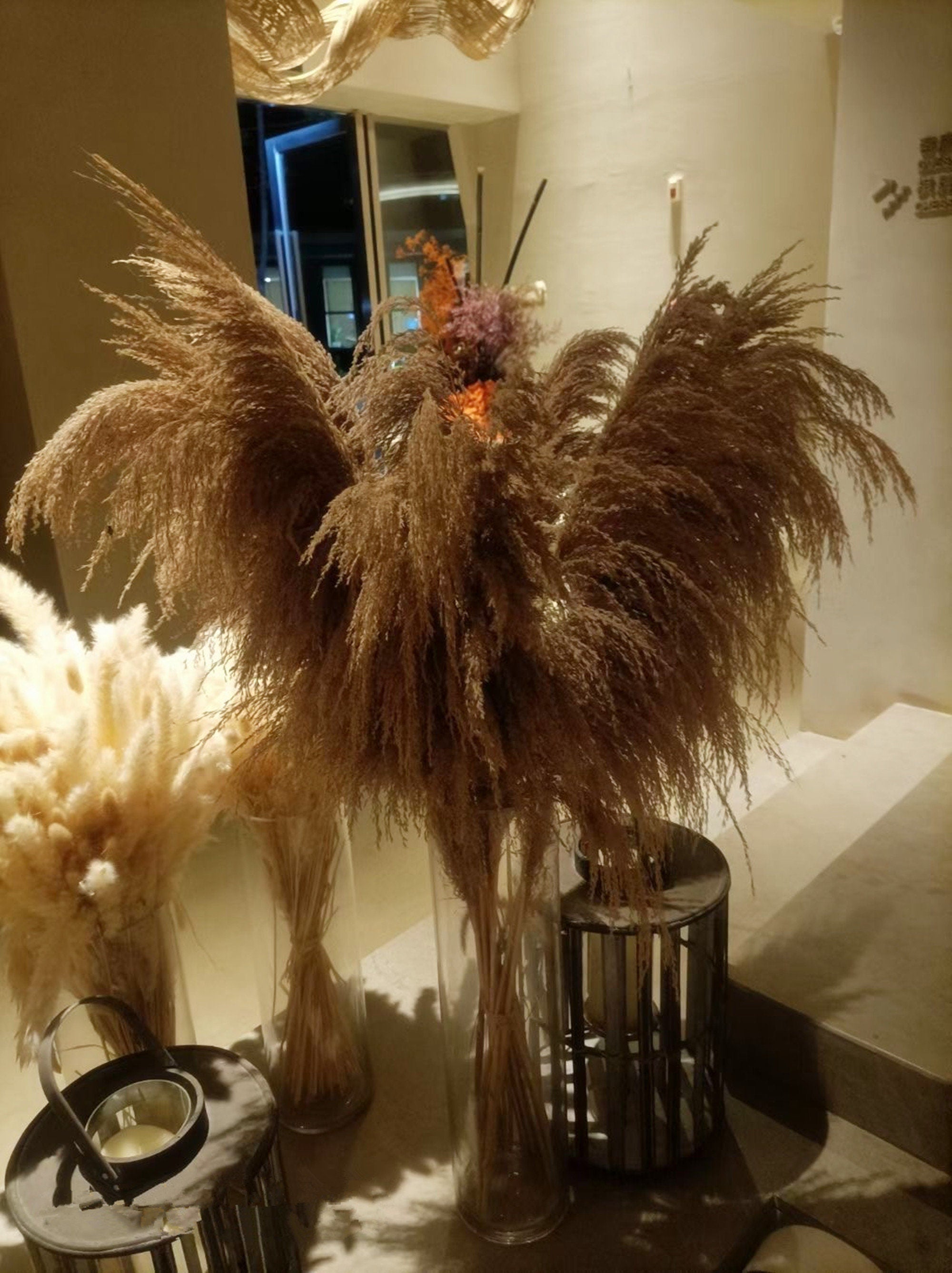 5 stems pampas grass 34'' , dried flowers, pampasgrass, Natural Dried Pampas Grass, Phragmites Communis,Reed Plume,Wedding,FlowerArrangement -PAMPAS grass wholesale and dried flowers wholesal