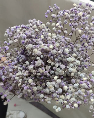Natural preserved baby's breath bunch, straw colored baby's breath, unbleached baby's breath, natural gypsophilia, preserved gypsophilia -PAMPAS grass wholesale and dried flowers wholesale ne