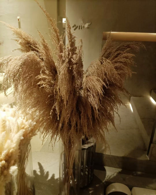 5 stems pampas grass 34'' , dried flowers, pampasgrass, Natural Dried Pampas Grass, Phragmites Communis,Reed Plume,Wedding,FlowerArrangement -PAMPAS grass wholesale and dried flowers wholesal