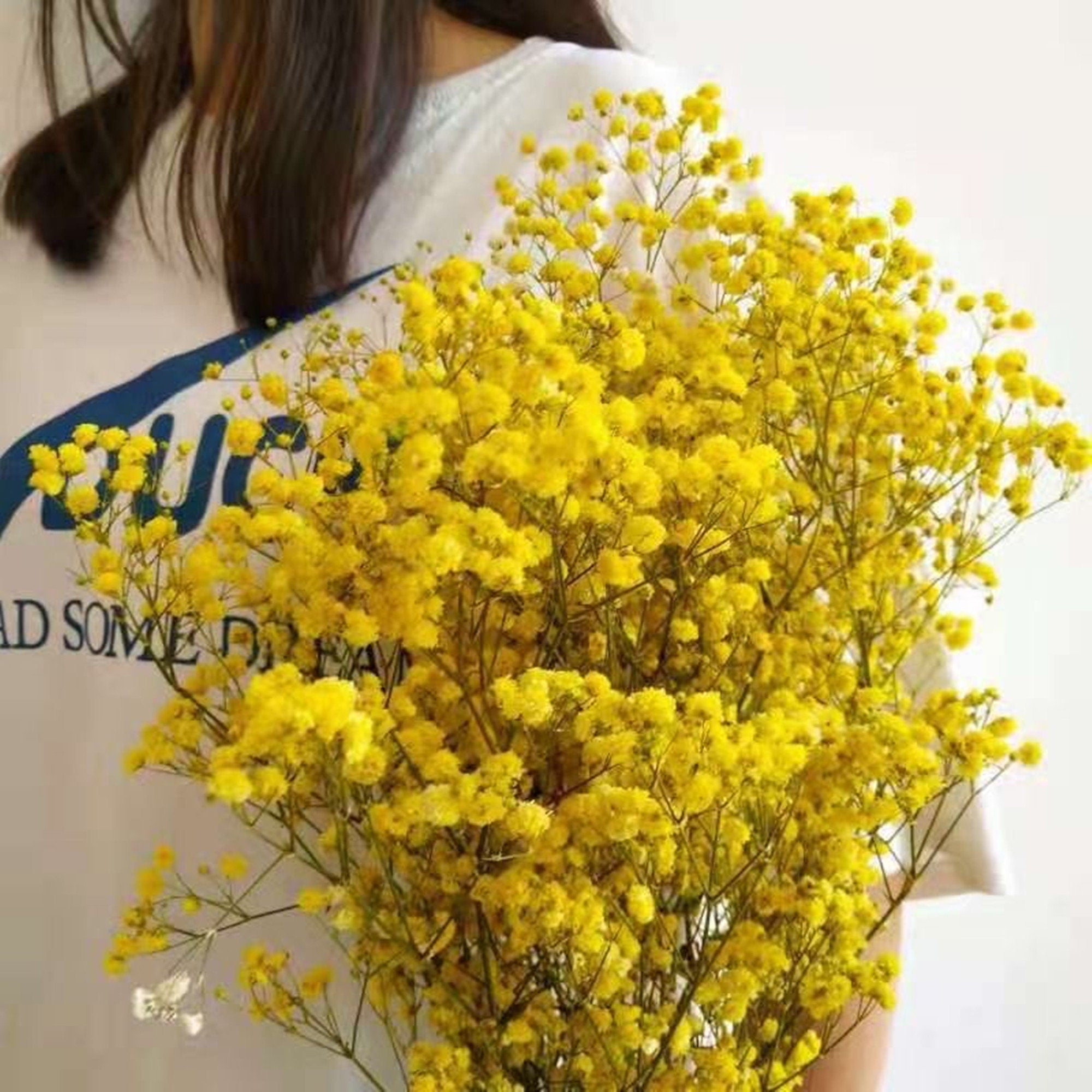 Natural preserved baby's breath bunch, straw colored baby's breath, unbleached baby's breath, natural gypsophilia, preserved gypsophilia -PAMPAS grass wholesale and dried flowers wholesale ne