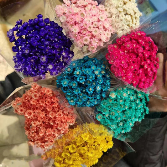 40-50 Stems Star Flower blossom in pink, dried flowers, wedding decor,home decor, dried star flowers, floral arrangements, wedding flowers -PAMPAS grass wholesale and dried flowers wholesale 