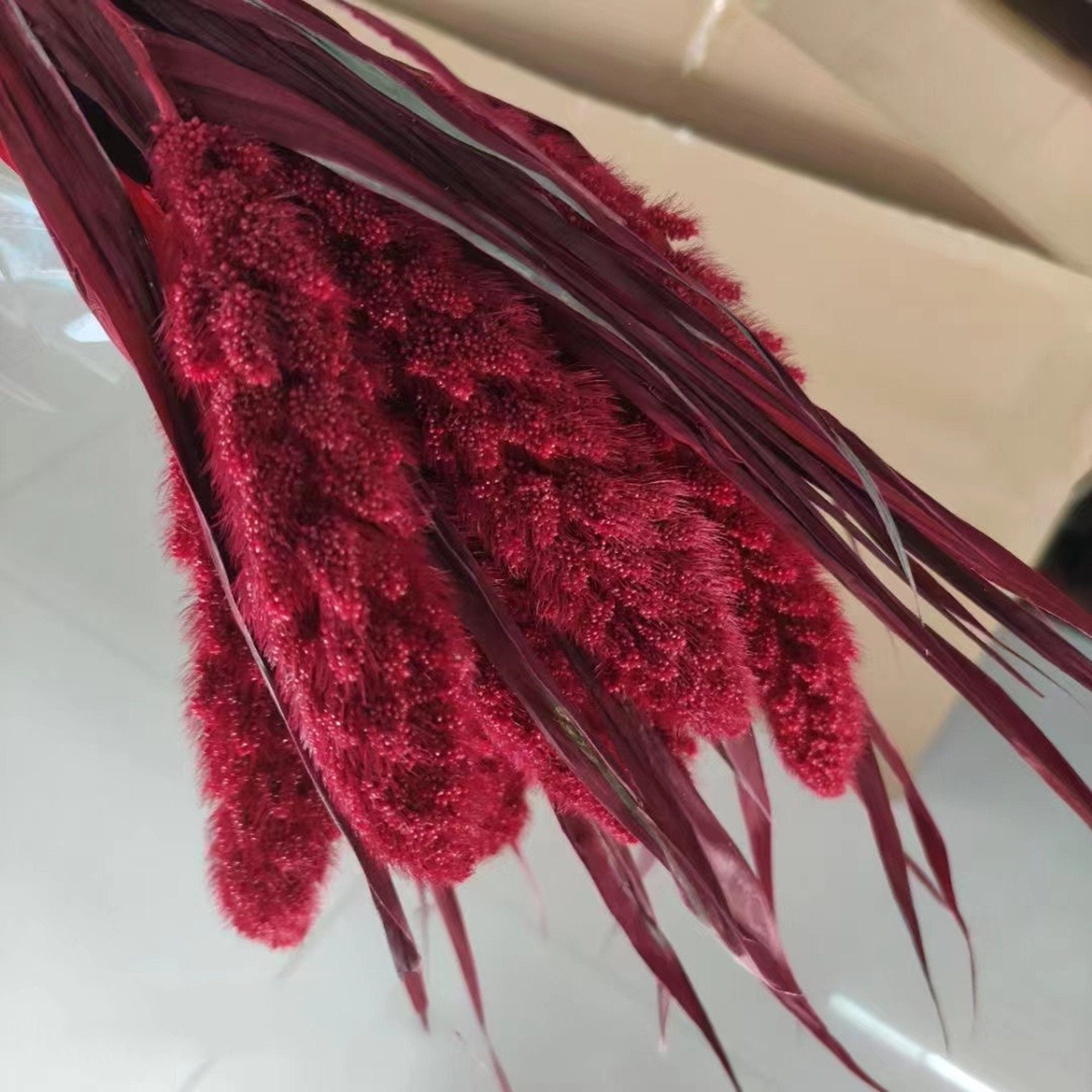 Have 5 stems  Preserved Millet Grass - 15-18" Tall Dried Flowers, Wedding Flowers, bunny tails flowers, Naturally Dried flower. -PAMPAS grass wholesale and dried flowers wholesale near me