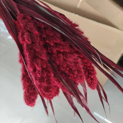 Have 5 stems  Preserved Millet Grass - 15-18" Tall Dried Flowers, Wedding Flowers, bunny tails flowers, Naturally Dried flower. -PAMPAS grass wholesale and dried flowers wholesale near me